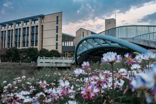 福州大学女子爆料视频,校园生活背后真相揭露