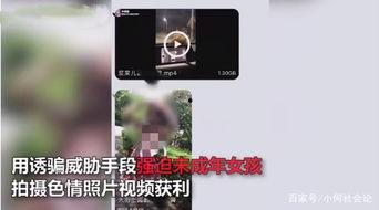 西安工作室爆料视频最新 第2张 西安工作室爆料视频最新 第2张